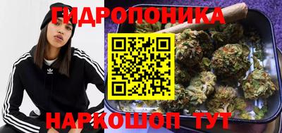 таблы Сланцы