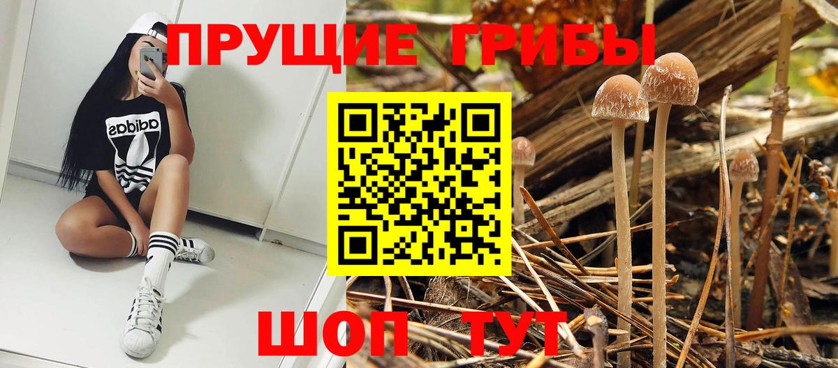 Галлюциногенные грибы мицелий  Вход с VPN  Новоалтайск 